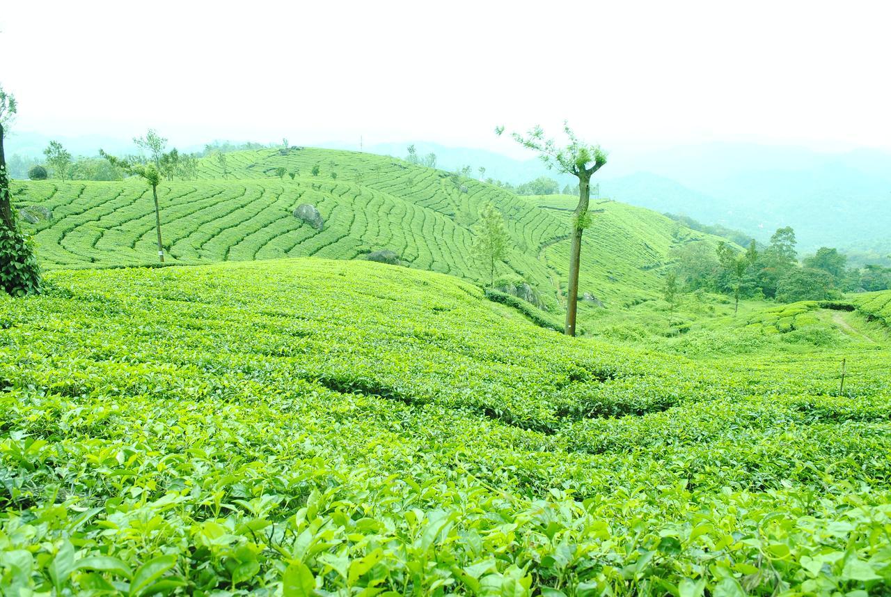 Tranquil Valley Resort Munnar Exterior photo